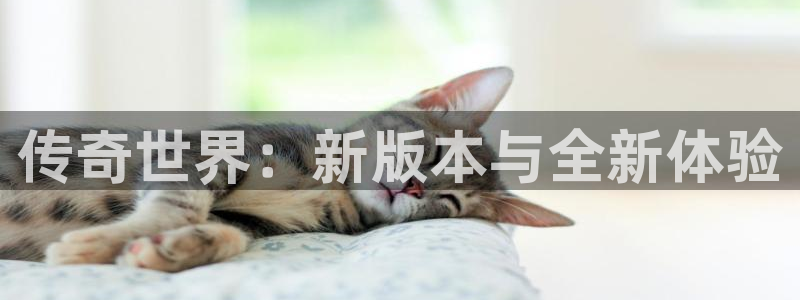 天美娱乐怎么注册：传奇世界：新版本与全新体验