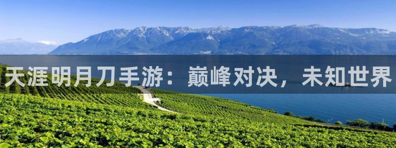 天美娱乐线路测试：天涯明月刀手游：巅峰对决，未知世界