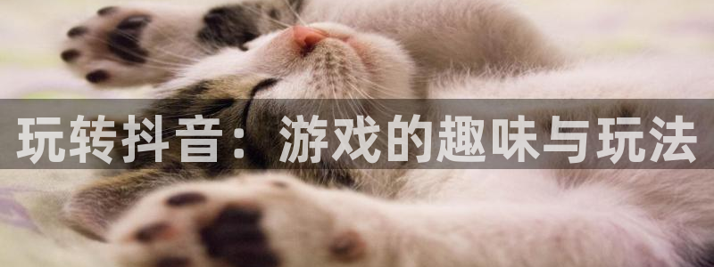 天美娱乐4招商：玩转抖音：游戏的趣味与玩法