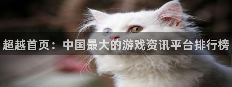 天美娱乐平台官网登录：超越首页：中国最大的游戏资讯平台排行榜
