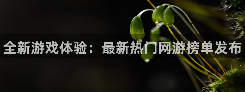 天美娱乐直属：全新游戏体验：最新热门网游榜单发布