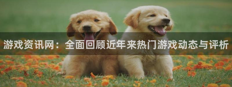 天美娱乐怎么注册：游戏资讯网：全面回顾近年来热门游戏动态与评