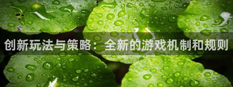 天美娱乐登陆：创新玩法与策略：全新的游戏机制和规则