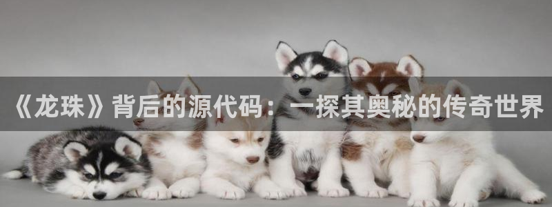 天美娱乐娱乐：《龙珠》背后的源代码：一探其奥秘的传奇世界